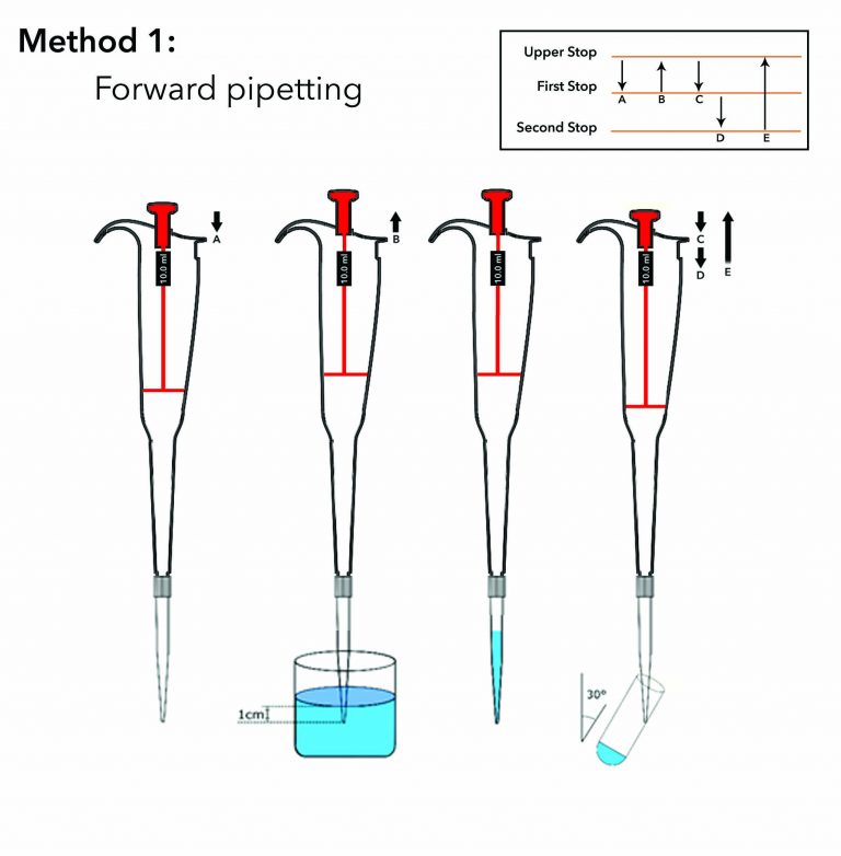 What is a Micropipette, Types, How to use, Pipetting Techniques