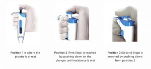 Correct Pipetting methods