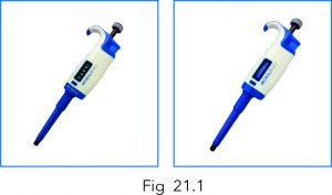 micropipette fixed and variable