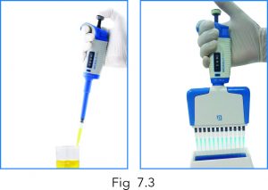 microlit micropipette