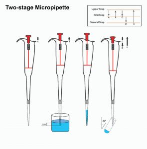 Two stage micropipette