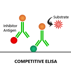 direct elisa