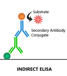 direct elisa