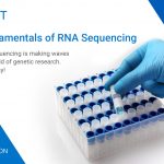 fundamentals of RNA Sequencing