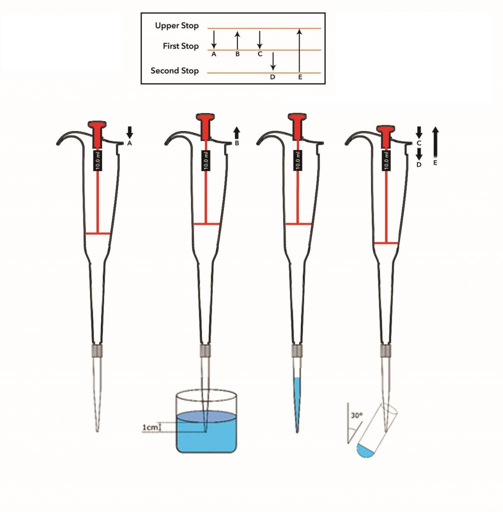 Plunger Force in the Micropipettes