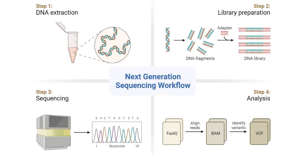 Next Generation Sequencing NGS